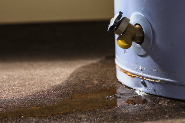Best Water damage restoration near me  in Sturgis, SD