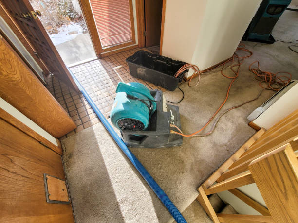 Best Flood damage cleanup  in Sturgis, SD