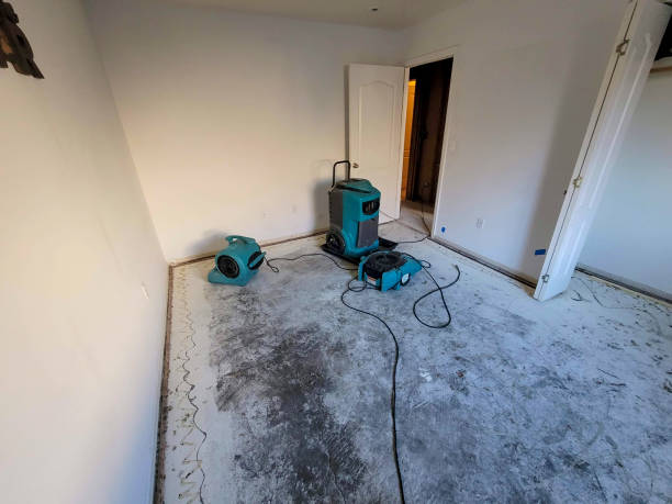 Trusted Sturgis, SD Water damage restoration Experts