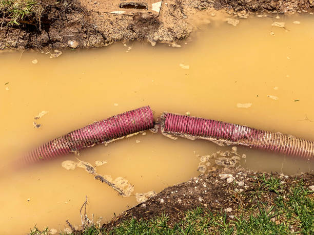 Best Water damage restoration services  in Sturgis, SD